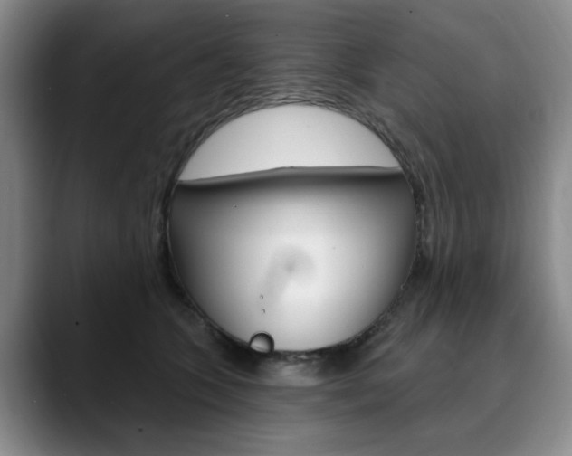 X0000090730563200707200957