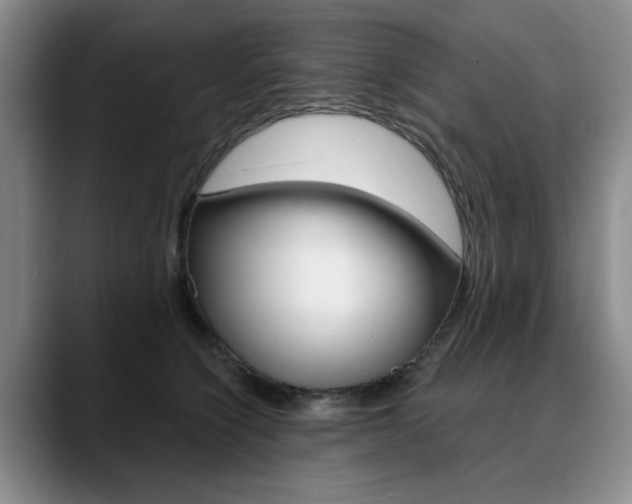 X0000090730564200707200957
