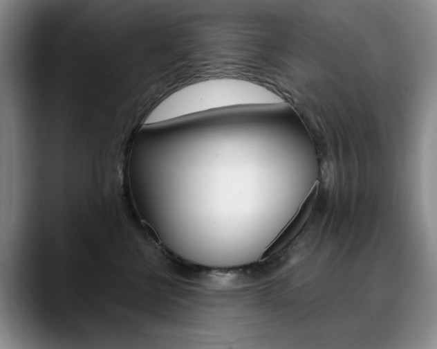 X0000090730570200707200957