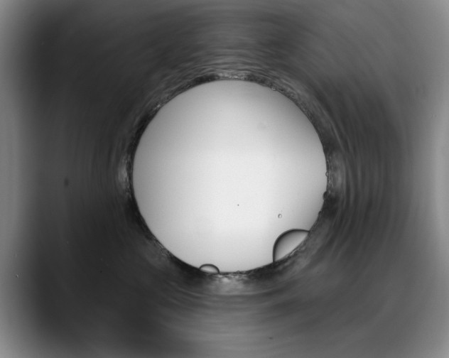 X0000090730573200707200957
