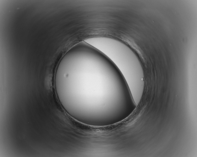 X0000090730585200707200957