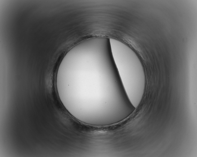 X0000090730586200707200957