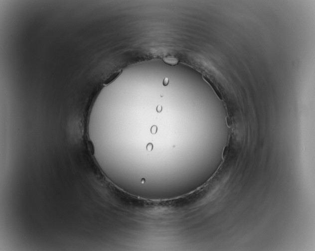 X0000090730593200707200957