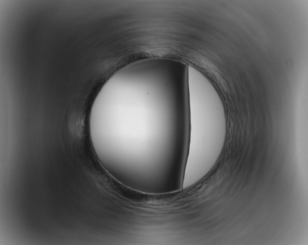 X0000090730596200707200956