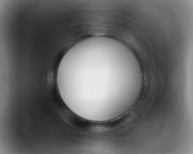 X0000090730598200707200956