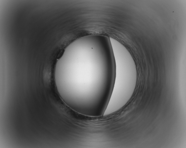 X0000090730600200707200956