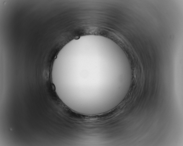 X0000090730602200707200956