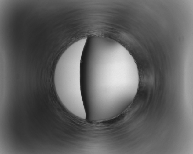 X0000090730603200707200956