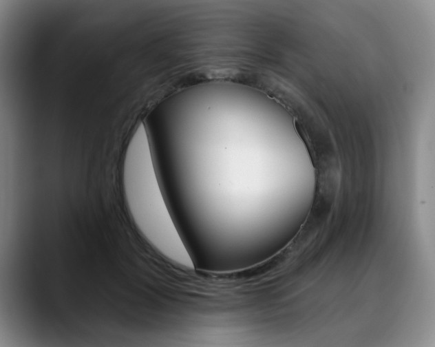 X0000090730604200707200956