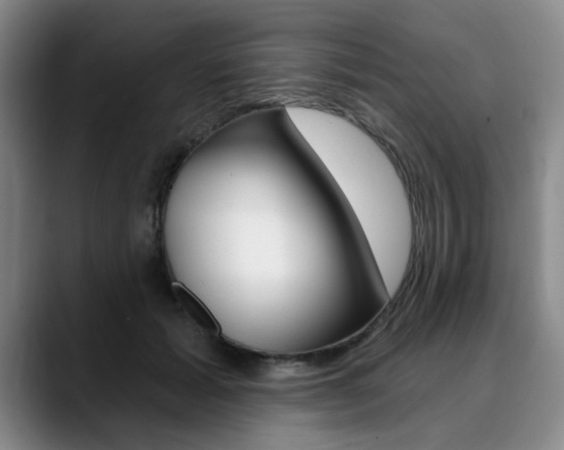 X0000090730605200707200956