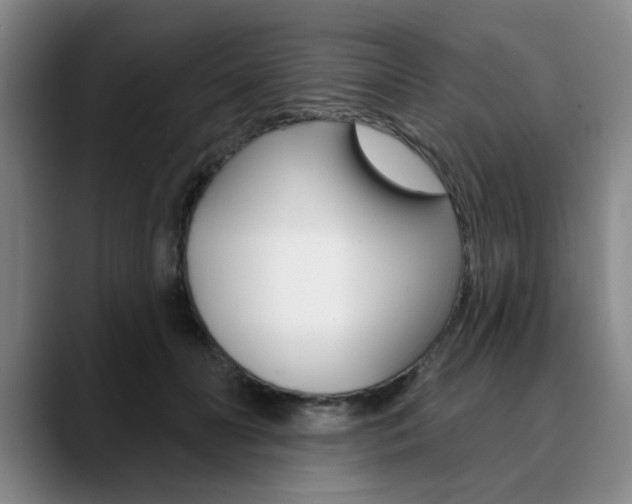 X0000090730606200707200956