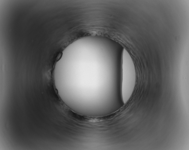 X0000090730611200707200956