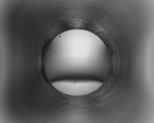 X0000090730612200707200956