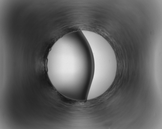 X0000090730613200707200956