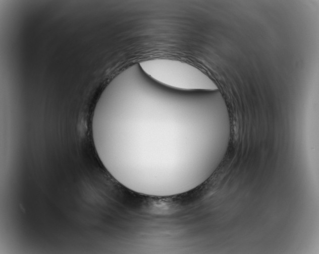 X0000090730618200707200956