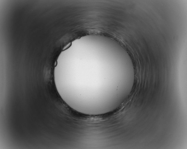 X0000090730619200707200956