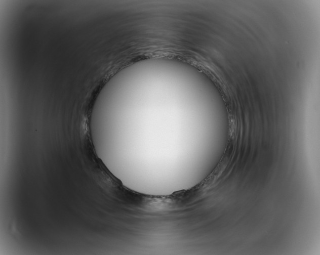 X0000090730621200707200956