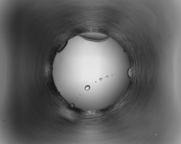 X0000090730623200707200956