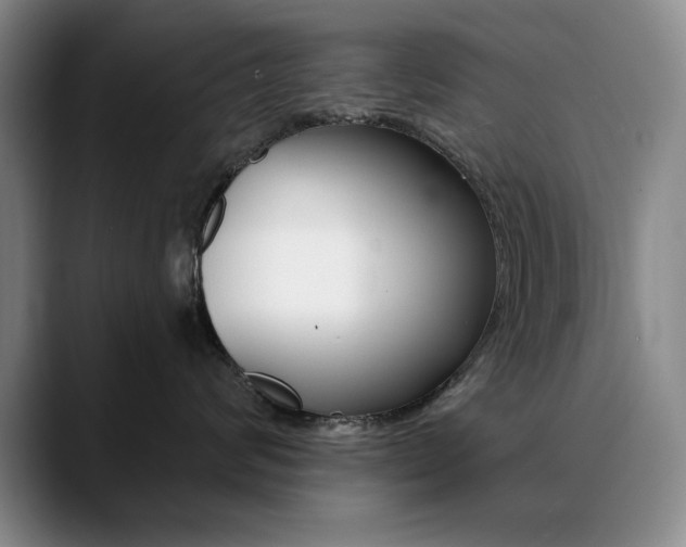 X0000090730624200707200956
