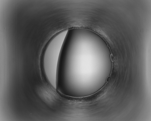 X0000090730626200707200956
