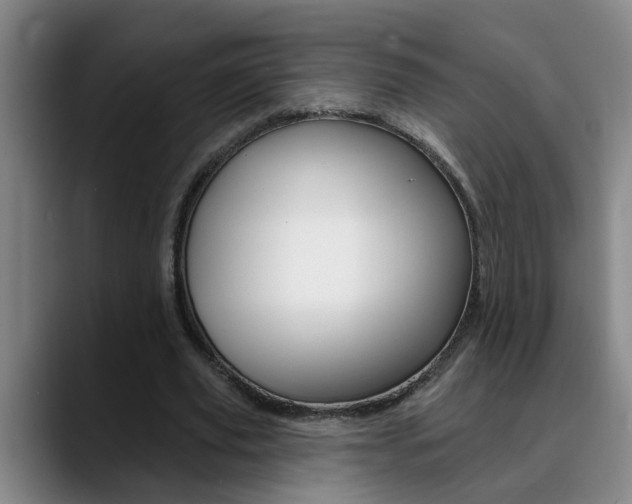 X0000090730629200707200956