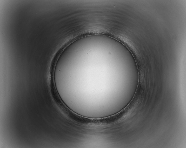 X0000090730630200707200956