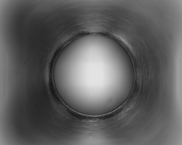X0000090730631200707200956