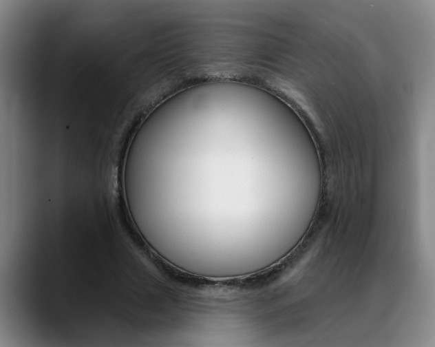 X0000090730633200707200956