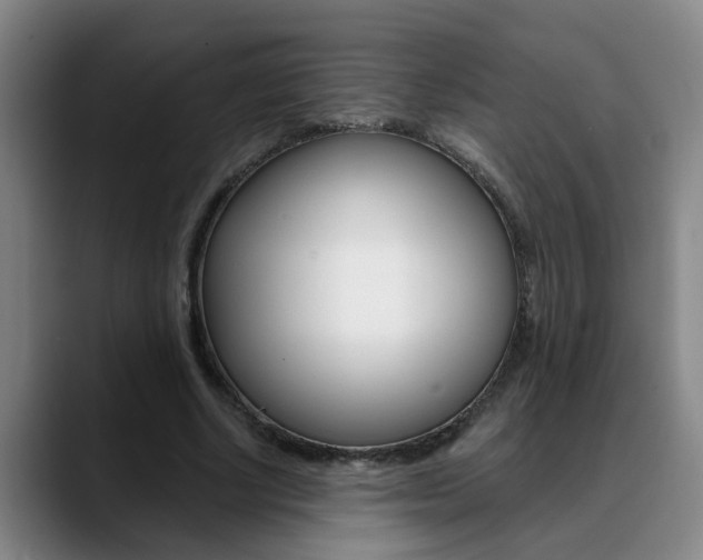 X0000090730634200707200956