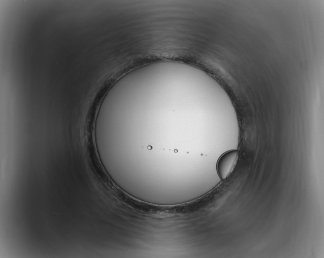 X0000090730635200707200956