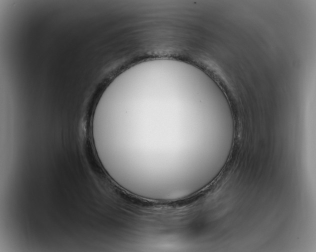 X0000090730636200707200956