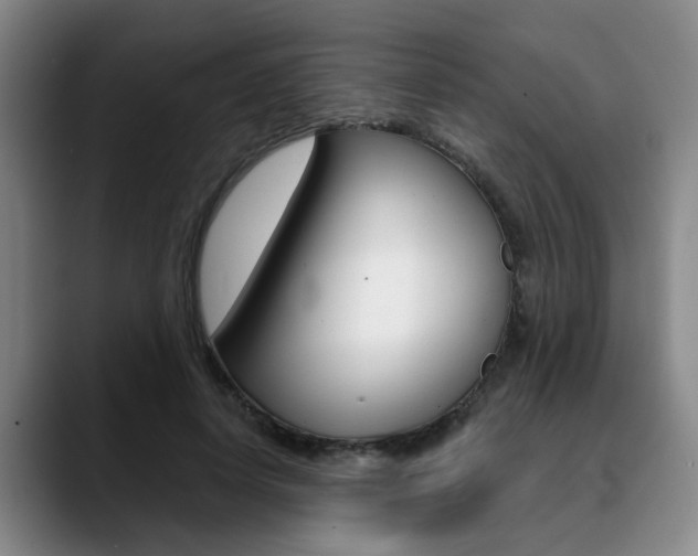 X0000090730642200707200956