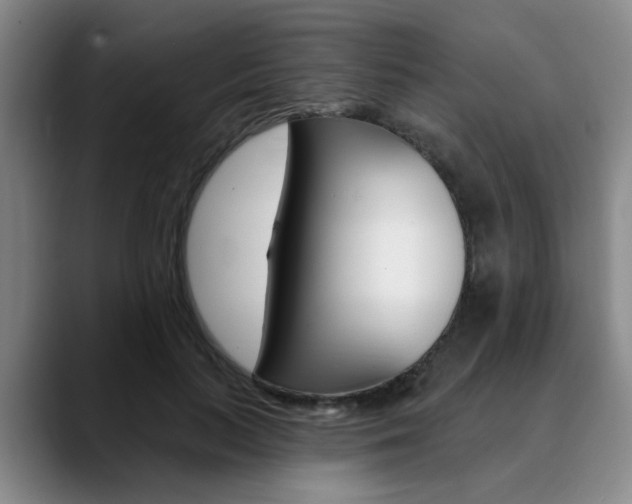X0000090730647200707200956