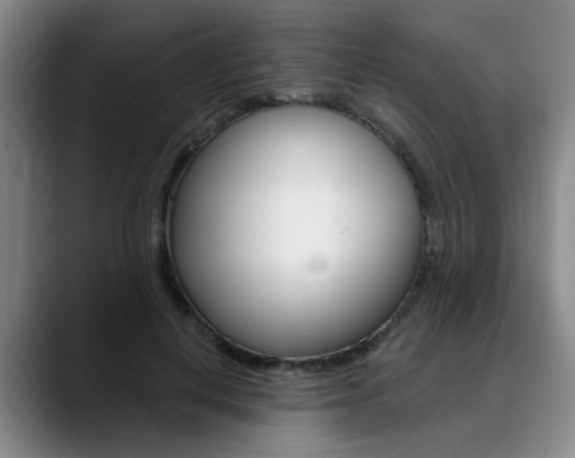 X0000090730648200707200956