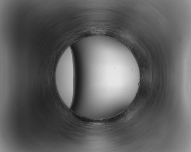 X0000090730649200707200956