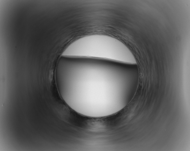 X0000090730652200707200956