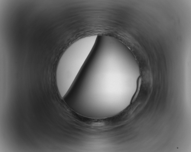 X0000090730653200707200956