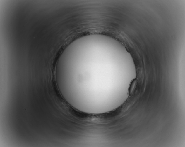 X0000090730655200707200956