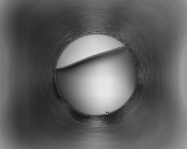 X0000090730656200707200956