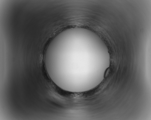X0000090730660200707200956
