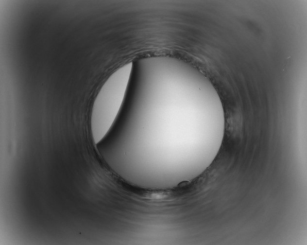 X0000090730662200707200956