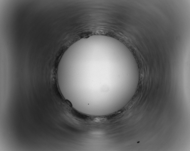X0000090730663200707200956