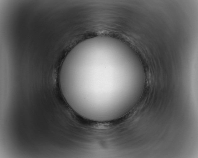 X0000090730664200707200956