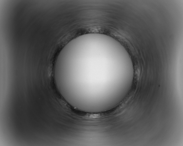 X0000090730665200707200956