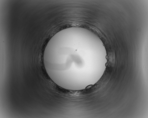 X0000090730667200707200956