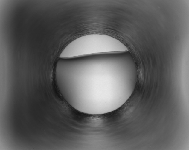 X0000090730668200707200956
