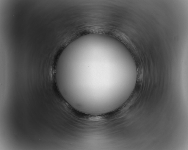 X0000090730669200707200956