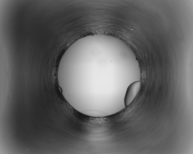 X0000090730671200707200956