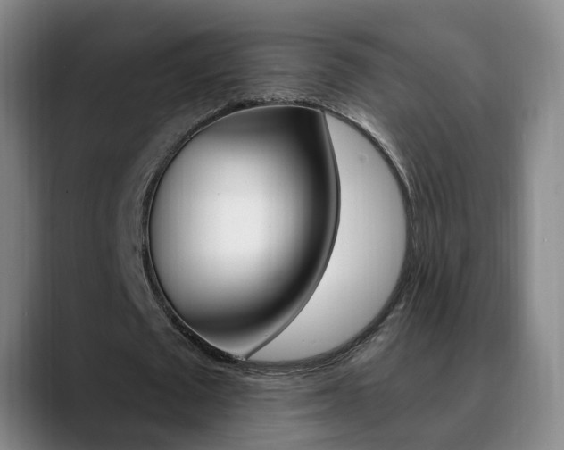 X0000090730673200707200956