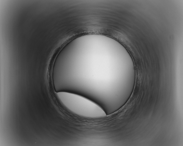 X0000090730674200707200956